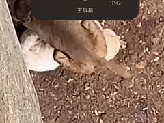 -昆明动物园