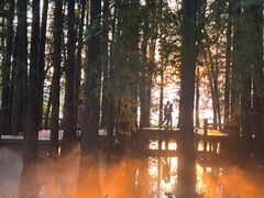 -东湖落雁景区