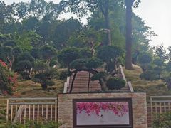 -白云山风景名胜区