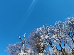 -青城公园