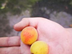 -堤角公园