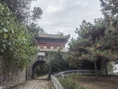 -云岗森林公园