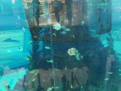 -鸿通城购物中心