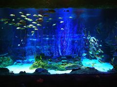 -沈阳海洋探索中心