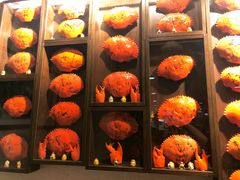 -龙海鲜螃蟹王(宏茂桥店)