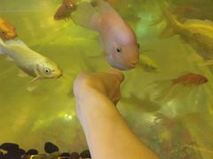 -中影国际影城(兰生大厦CINITY LED店)