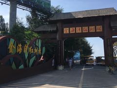 -北海金海湾红树林生态旅游区