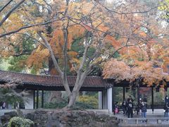 -惠山古镇·寄畅园