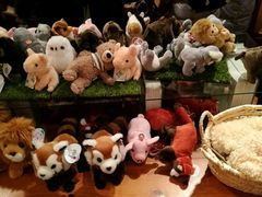 -小樽八音盒堂(手工制作体验馆店)