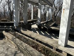 -镇江市南山风景名胜区竹林景区