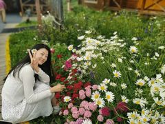 -喀纳斯禾木山庄