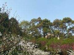 -南山植物园