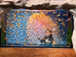-Zoolung Zoolung动物主题公园(海信广场店)