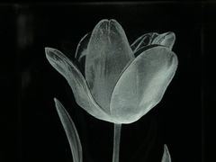 -时代美术馆-成都馆