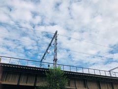 -永定河休闲森林公园