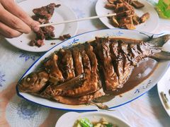 -金台阶鱼馆(于桥水库店)