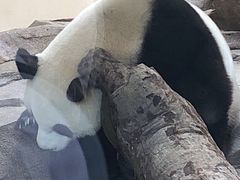 -宁波野生动物园