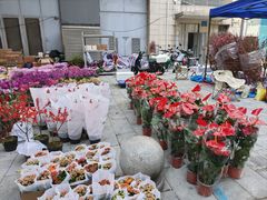 -广州保利时光里(建设大马路店)