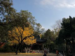 -汇龙潭