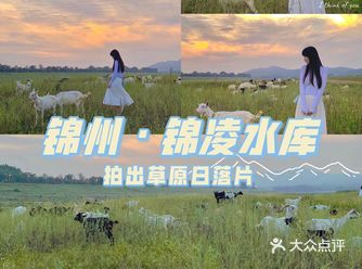 锦州★锦陵水库拍出草原日落片