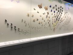 -香港科学馆