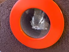 -苏州青少年科技馆