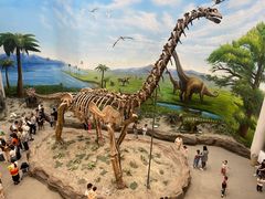 -辽宁古生物博物馆