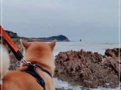 -青岛石老人海水浴场