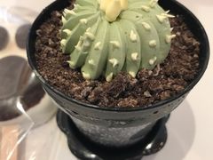 -DQ·蛋糕·冰淇淋(城南嘉园店)