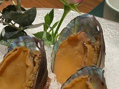 手工冰镇鲍鱼-木棉·醉心粤味(COCO Park店)
