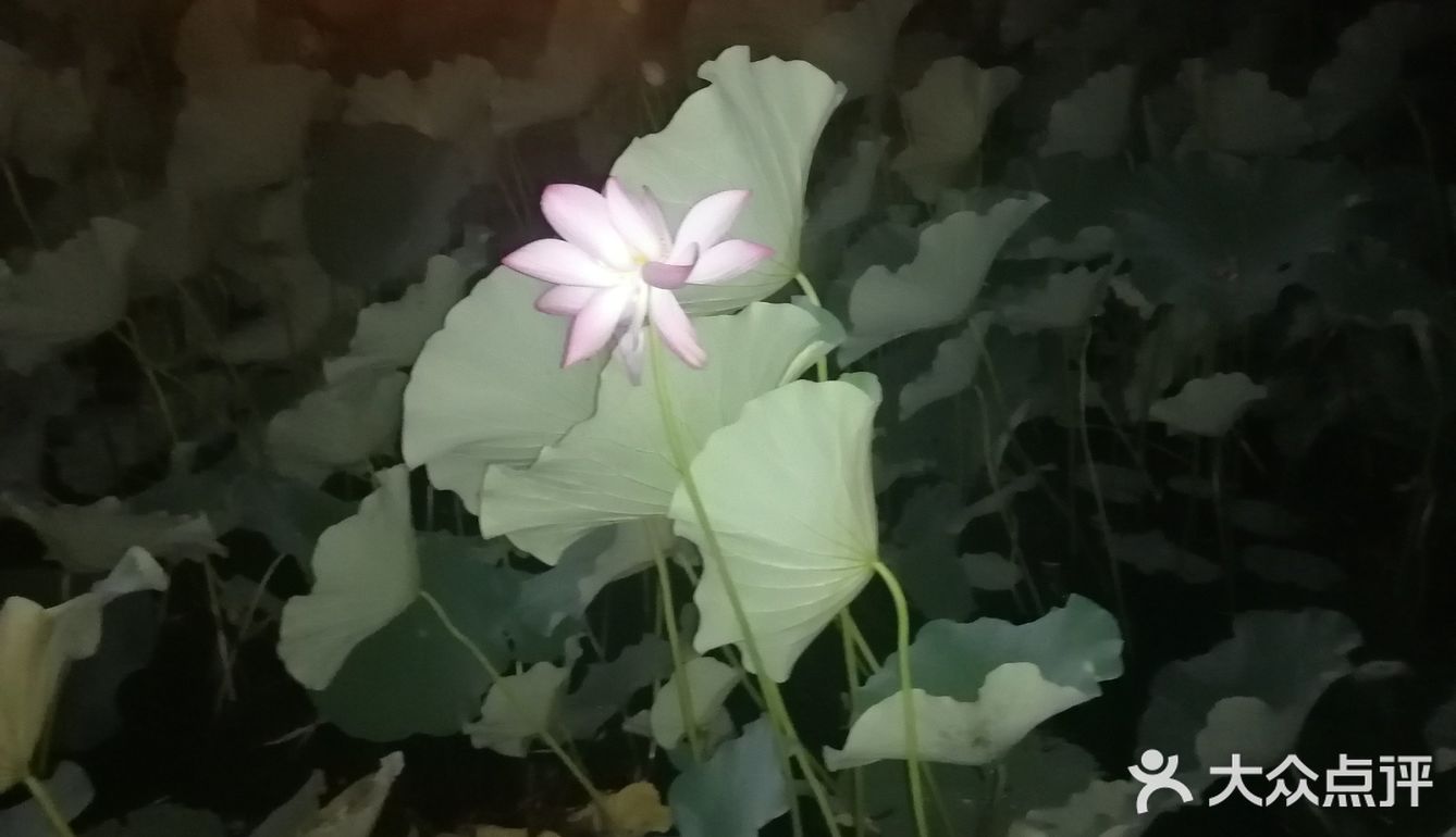 北二环的江南风景区[加油]积水潭西[呲牙]