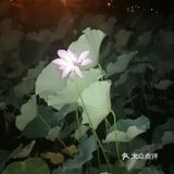 北二环的江南风景区[加油]积水潭西[呲牙]