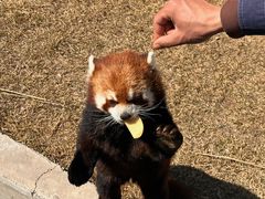 -水上乐园·欢乐世界