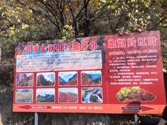 -狼牙山风景区