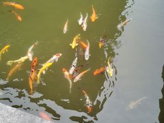 -陈武帝故宫