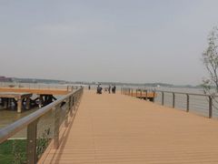 -滨江生态公园