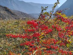 -叠溪松坪沟景区