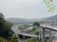 -半山林海