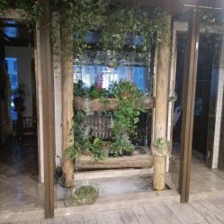 -青青一生美皮肤管理