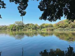 -小洲村