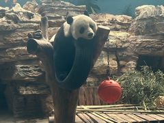 -石家庄市动物园