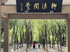 -柳浪闻莺公园