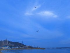 -星海广场