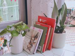 -有猫主题·治愈系猫咖(曾厝垵店)