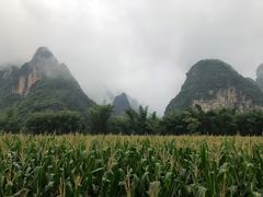-明仕田园