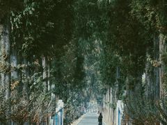 -颐和路民国时期公馆风貌区