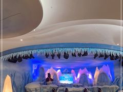 -帝企鹅自助餐厅•儿童岛•真企鹅(长隆企鹅酒店)