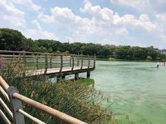 -美兰湖景区