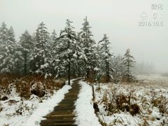 -凤凰山国家森林公园