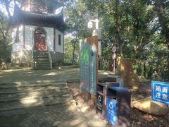 -上海佘山国家森林公园天马山园